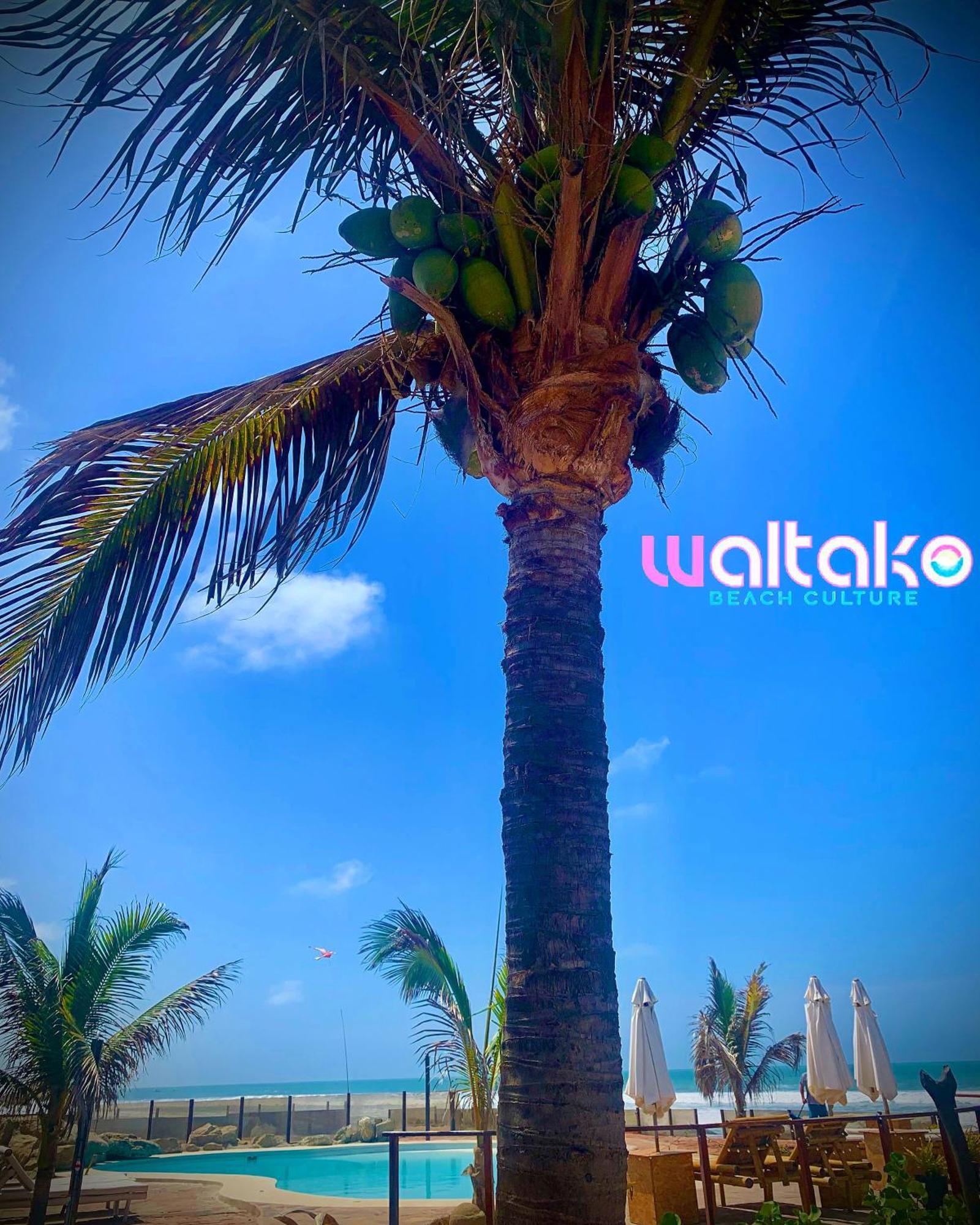 Hotel Waltako Beach Culture Canoas de Punta Sal Exterior foto